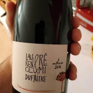 Brouilly - Domaine de Botheland - remi-dufaitre-laurence-liatard