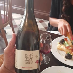 Brouilly - Domaine de Botheland - remi-dufaitre-laurence-liatard