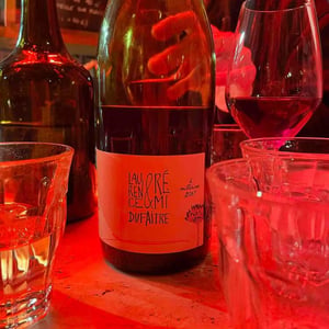 Domaine de Botheland - Rémi Dufaitre & Laurence Liatard - Brouilly