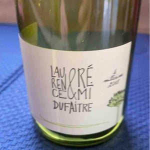 Brouilly - Domaine de Botheland - remi-dufaitre-laurence-liatard