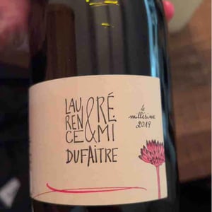 Domaine de Botheland - Rémi Dufaitre & Laurence Liatard - Brouilly