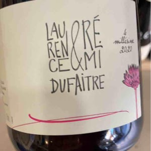 Brouilly - Domaine de Botheland - remi-dufaitre-laurence-liatard