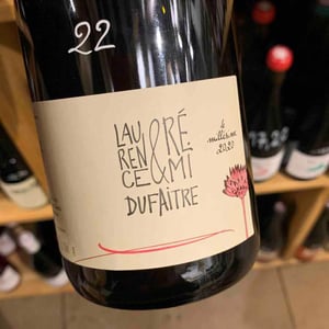 Brouilly - Domaine de Botheland - remi-dufaitre-laurence-liatard
