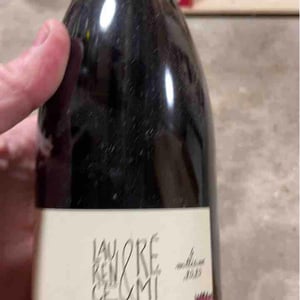 Brouilly - Domaine de Botheland - remi-dufaitre-laurence-liatard