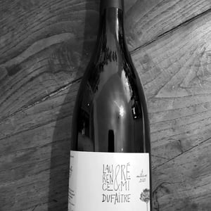 Brouilly - Domaine de Botheland - remi-dufaitre-laurence-liatard