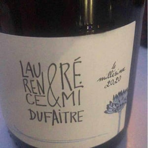 Brouilly - Domaine de Botheland - remi-dufaitre-laurence-liatard