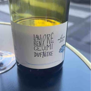 Brouilly - Domaine de Botheland - Rémi Dufaitre & Laurence Liatard 
