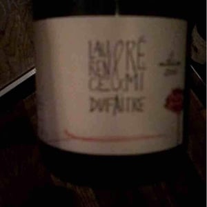 Domaine de Botheland - Rémi Dufaitre & Laurence Liatard - Brouilly