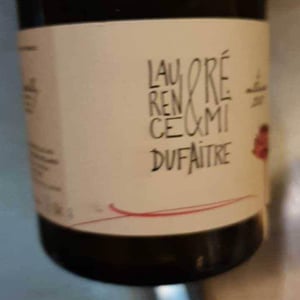 Brouilly - Domaine de Botheland - Rémi Dufaitre & Laurence Liatard 