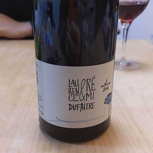 Domaine de Botheland - Rémi Dufaitre & Laurence Liatard - Brouilly
