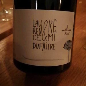 Domaine de Botheland - Rémi Dufaitre & Laurence Liatard - Brouilly