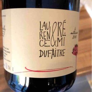 Domaine de Botheland - Rémi Dufaitre & Laurence Liatard - Brouilly