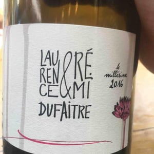 Brouilly - Domaine de Botheland - remi-dufaitre-laurence-liatard