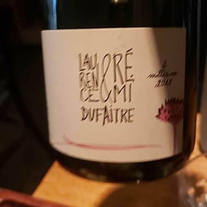 Brouilly - Domaine de Botheland - remi-dufaitre-laurence-liatard