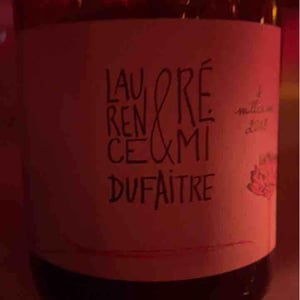 Domaine de Botheland - Rémi Dufaitre & Laurence Liatard - Brouilly