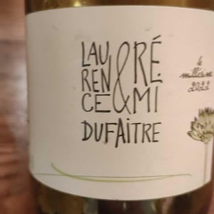 Brouilly - Domaine de Botheland - remi-dufaitre-laurence-liatard
