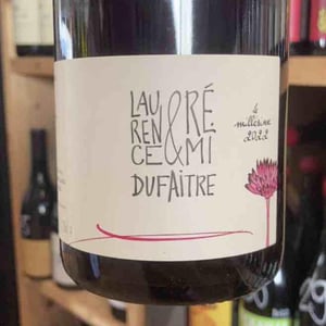 Brouilly - Domaine de Botheland - Rémi Dufaitre & Laurence Liatard 
