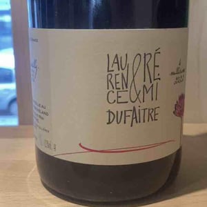 Brouilly - Domaine de Botheland - Rémi Dufaitre & Laurence Liatard 