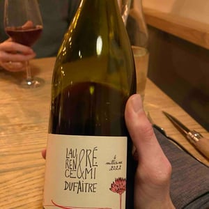 Brouilly - Domaine de Botheland - Rémi Dufaitre & Laurence Liatard 