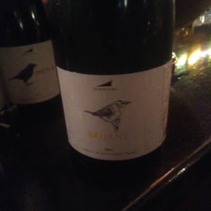 Bruant - El Celler de les Aus - Josep Maria & Mireia Pujol-Busquets 