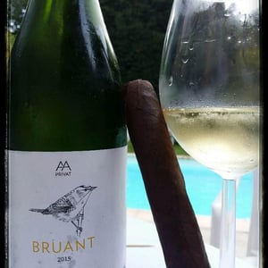 Bruant - El Celler de les Aus - josep-maria-mireia-pujol-busquets