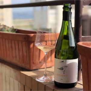 Bruant - El Celler de les Aus - josep-maria-mireia-pujol-busquets