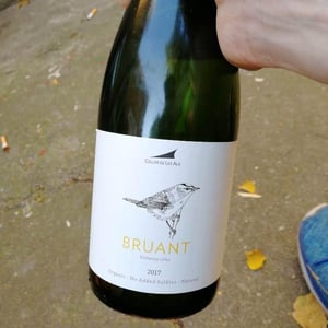 Bruant 2017