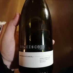 Cantina Marco Merli - Marco Merli - Brucisco