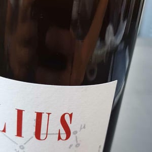 Brulius - Domaine Leonis - Cristelle & Raphaël Champier 