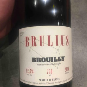 Brulius 2016