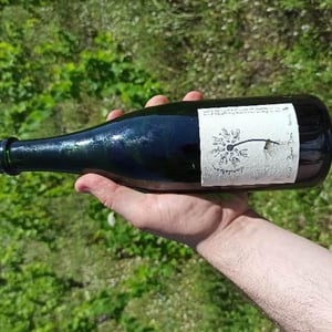 Brun Doré - Domaine Dandelion - Morgane Seuillot & Christian Knott 