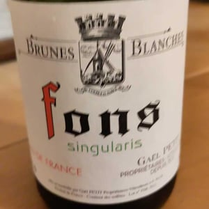 Brunes Blanches - Gael Petit - gael-petit