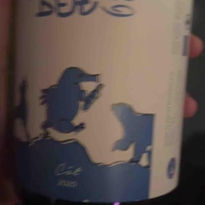 Bruno Bert & Co - Domaine La Taupe - Nicole Messer & Bertjan Mol 