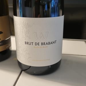 Brut de brabant - Domaine Sylvain Saux - domaine-sylvain-saux -2021