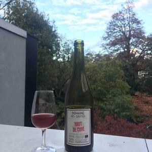 Domaine des Grottes - Romain des Grottes - Brut de Cuve