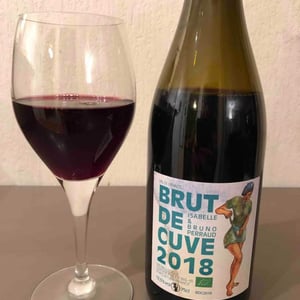 Côtes de la Molière - Isabelle & Bruno Perraud - Brute de Cuve