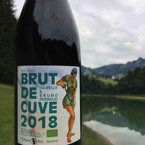 Côtes de la Molière - Isabelle & Bruno Perraud - Brute de Cuve