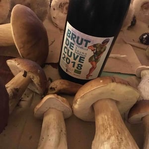 Côtes de la Molière - Isabelle & Bruno Perraud - Brute de Cuve