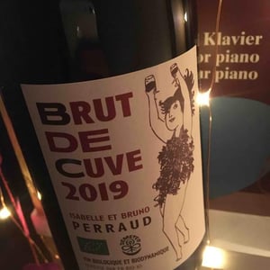 Côtes de la Molière - Isabelle & Bruno Perraud - Brute de Cuve