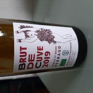 Côtes de la Molière - Isabelle & Bruno Perraud - Brute de Cuve