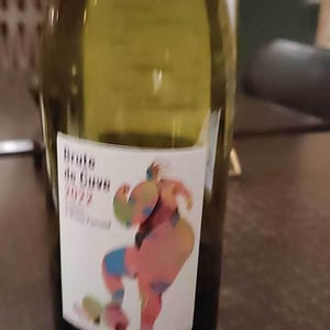 Côtes de la Molière - Isabelle & Bruno Perraud - Brute de Cuve