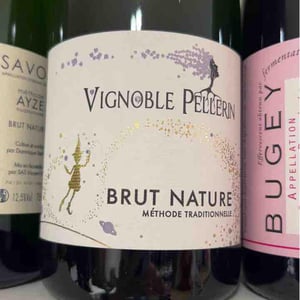 Brut Nature - Vignoble Pellerin - Jean-Christophe, Baptiste & Lucien Pellerin 