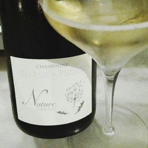 Brut Nature - Champagne Lelarge Pugeot - Famille Lelarge 