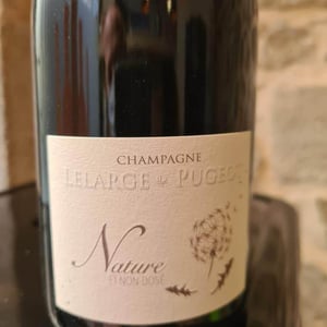 Brut Nature - Champagne Lelarge Pugeot - famille-lelarge