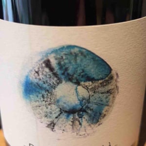 Brut Nature - Domaine D'ici là - Adrien Bariol 