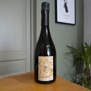 Brut Nature - Le Facteur Sur Le Vélo - fabien-brutout