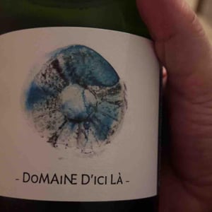 Brut Nature - Domaine D'ici là - Adrien Bariol 