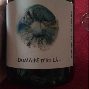 Domaine D'ici là - Adrien Bariol - Brut Nature