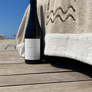 Sui Generis Brut nature - Cherubini - mattia-corbellini -2022