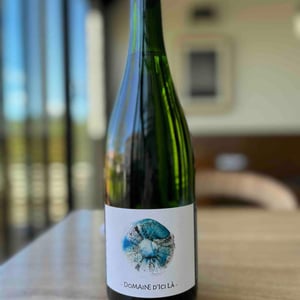 Brut Nature - Domaine D'ici là - Adrien Bariol 